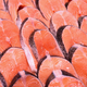 Illustration for article titled How Ginormous, Genetically Modified Antifreeze Salmon Will Change the Future of Your Food